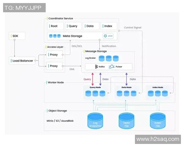 深入探讨杭州篮球队实力表现的数据分析与未来发展潜力