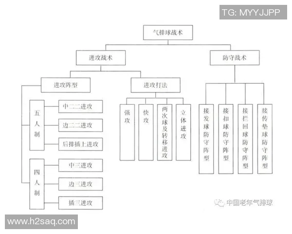 重庆排球队个人能力深度对比分析与战术影响探讨